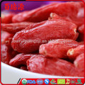 Comprar baie de goji baie de goji comprar goji berry